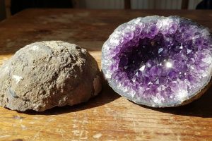 twin-children-and-mystery